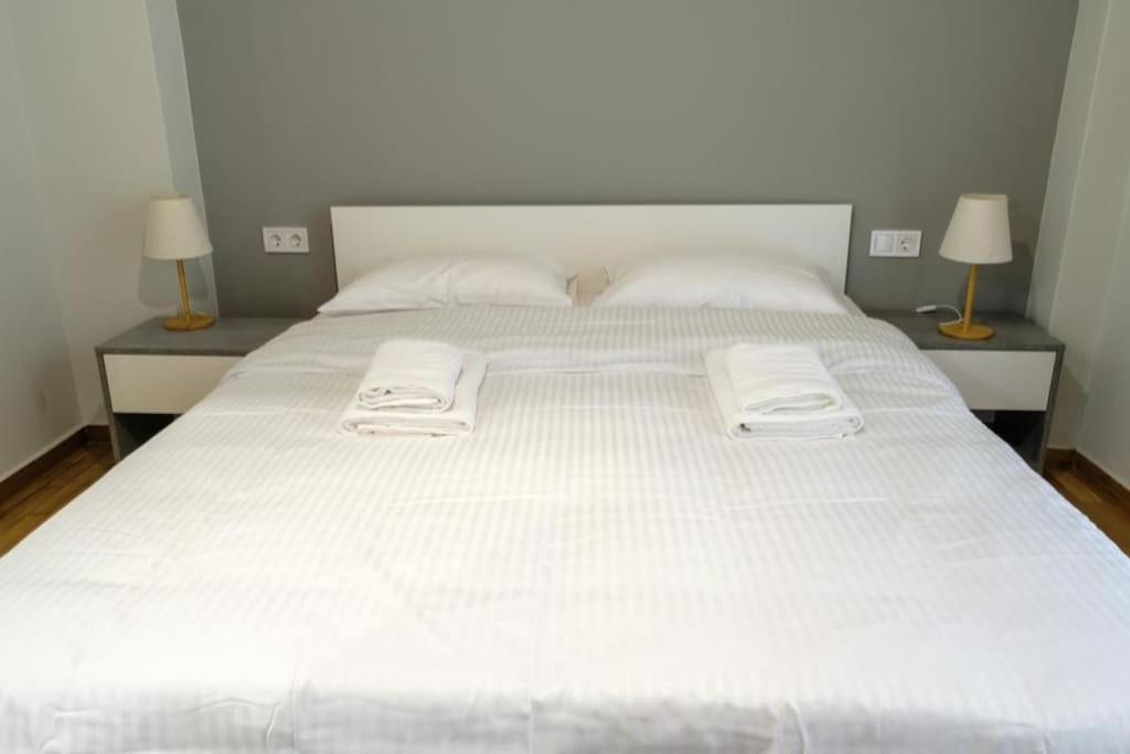 Modern Pangrati Flat! Apartment เอเธนส์ ภายนอก รูปภาพ